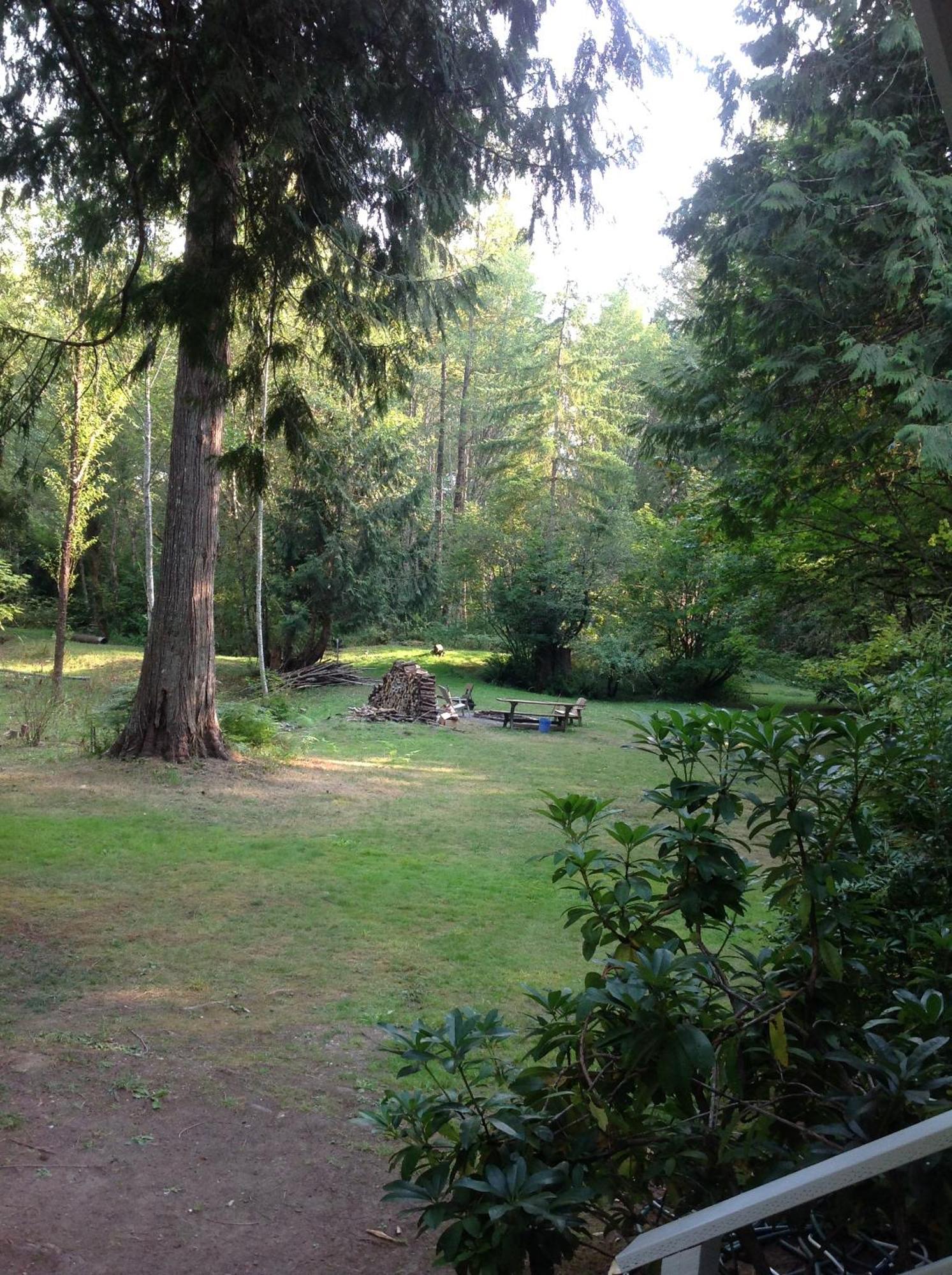 Mountain Meadows Inn & Chalet Suites Ashford Kültér fotó